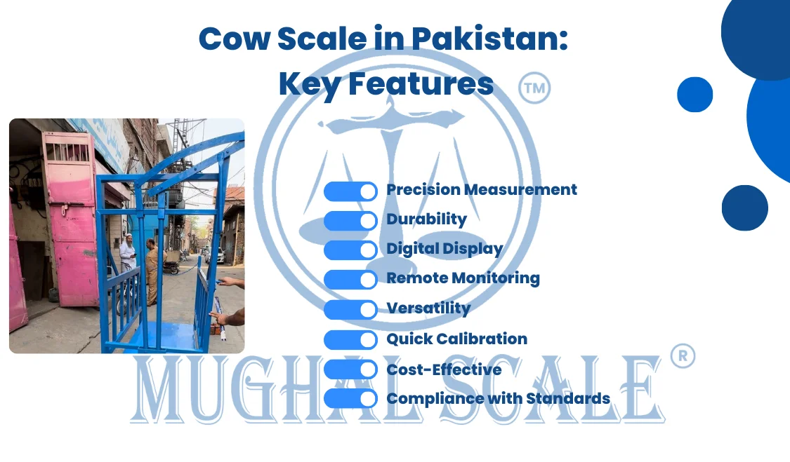 Cow Scale in Pakistan