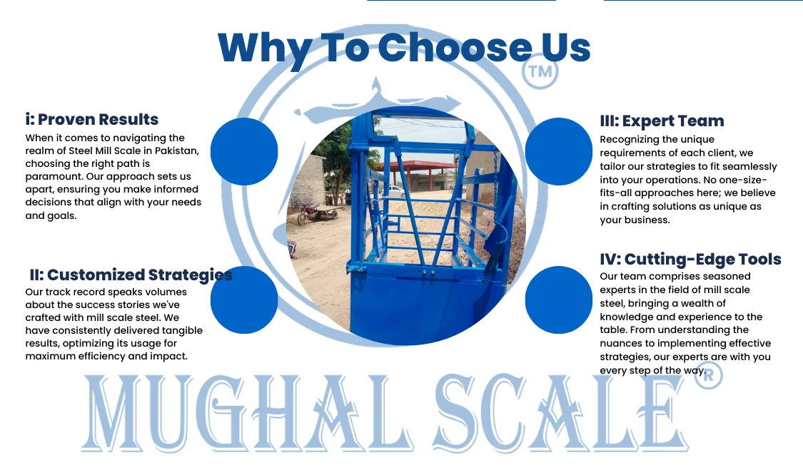 Cattle Crusher Scale in Pakistan