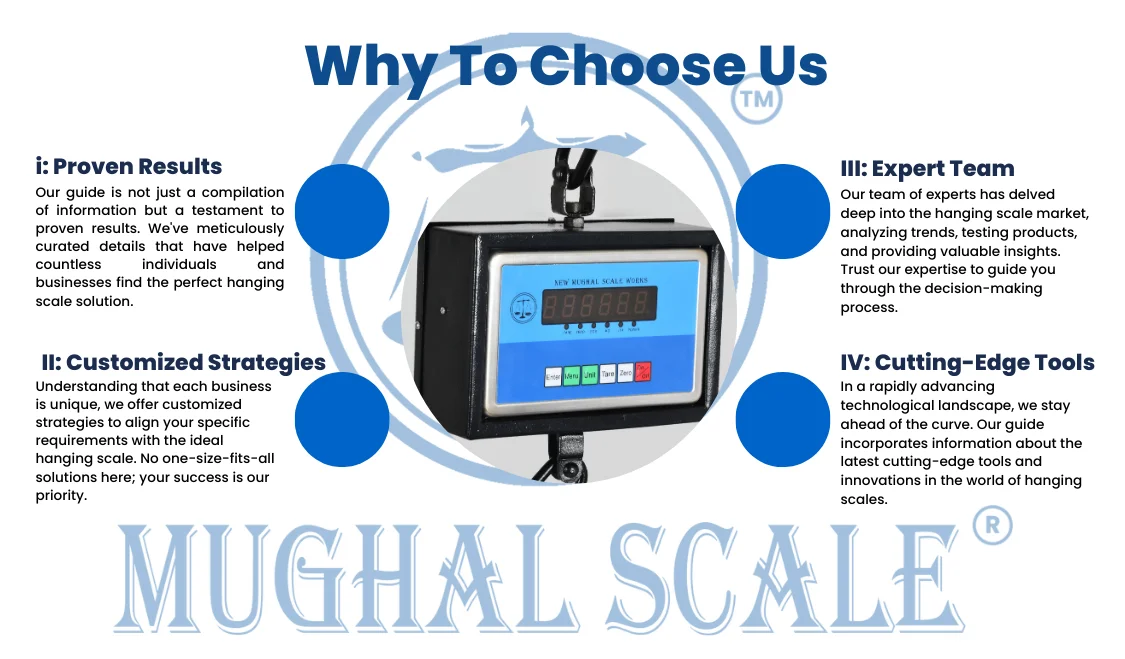 Commercial Hanging Scale in Pakistan