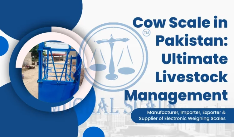 Cow Scale in Pakistan