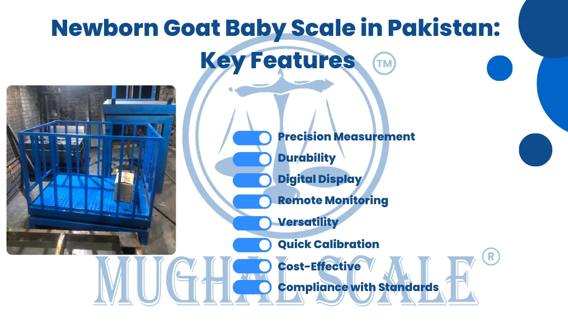 Newborn Goat Baby Scale in Pakistan