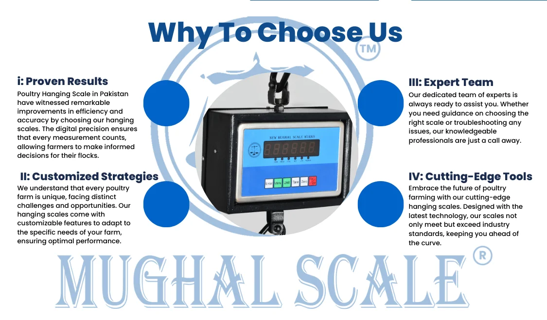 Poultry Hanging Scale in Pakistan