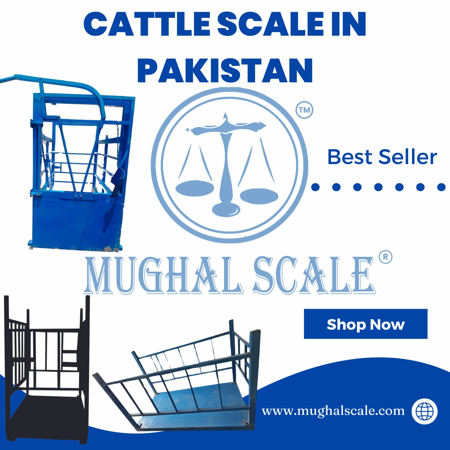 Cattle Scale in Pakistan