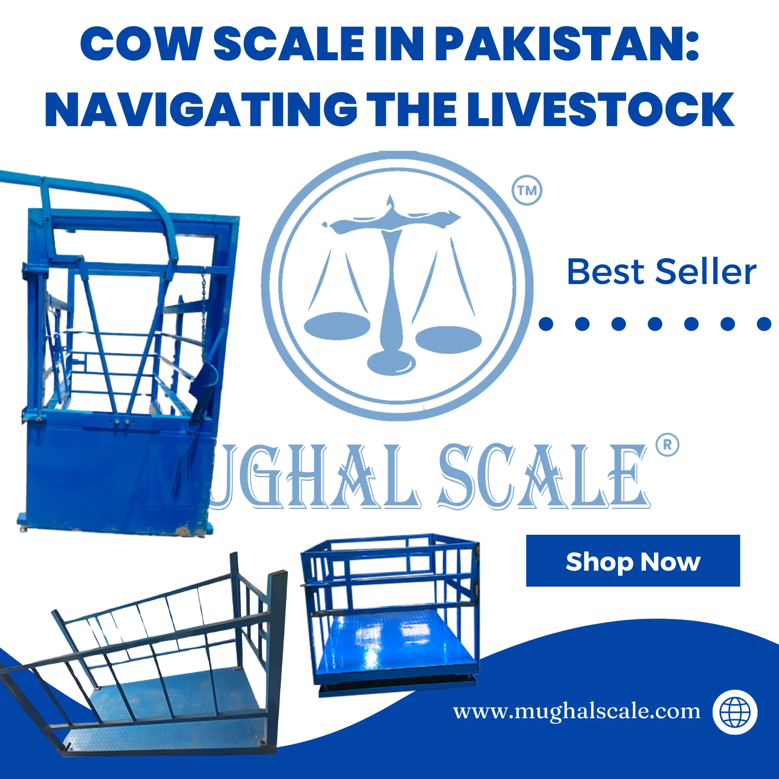 Cow Scale in Pakistan