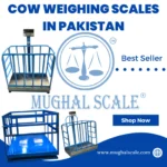 cow weighing scales in Pakistan