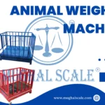 animal weighing machine