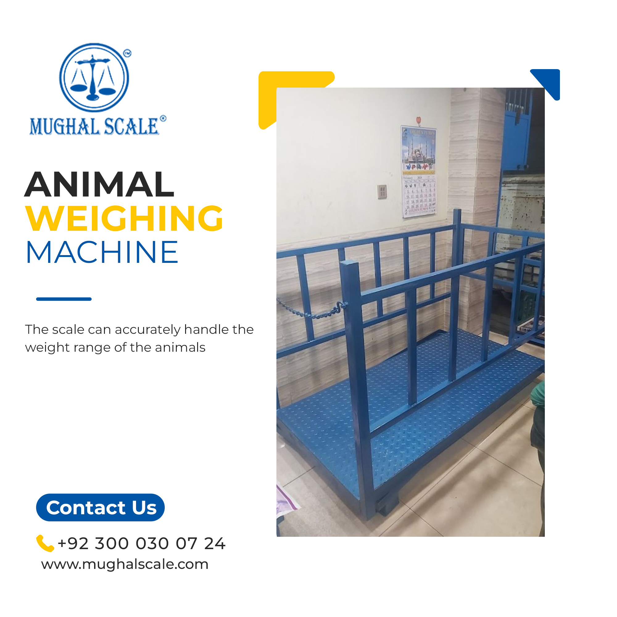 Animal Weighing Machine Price in Pakistan