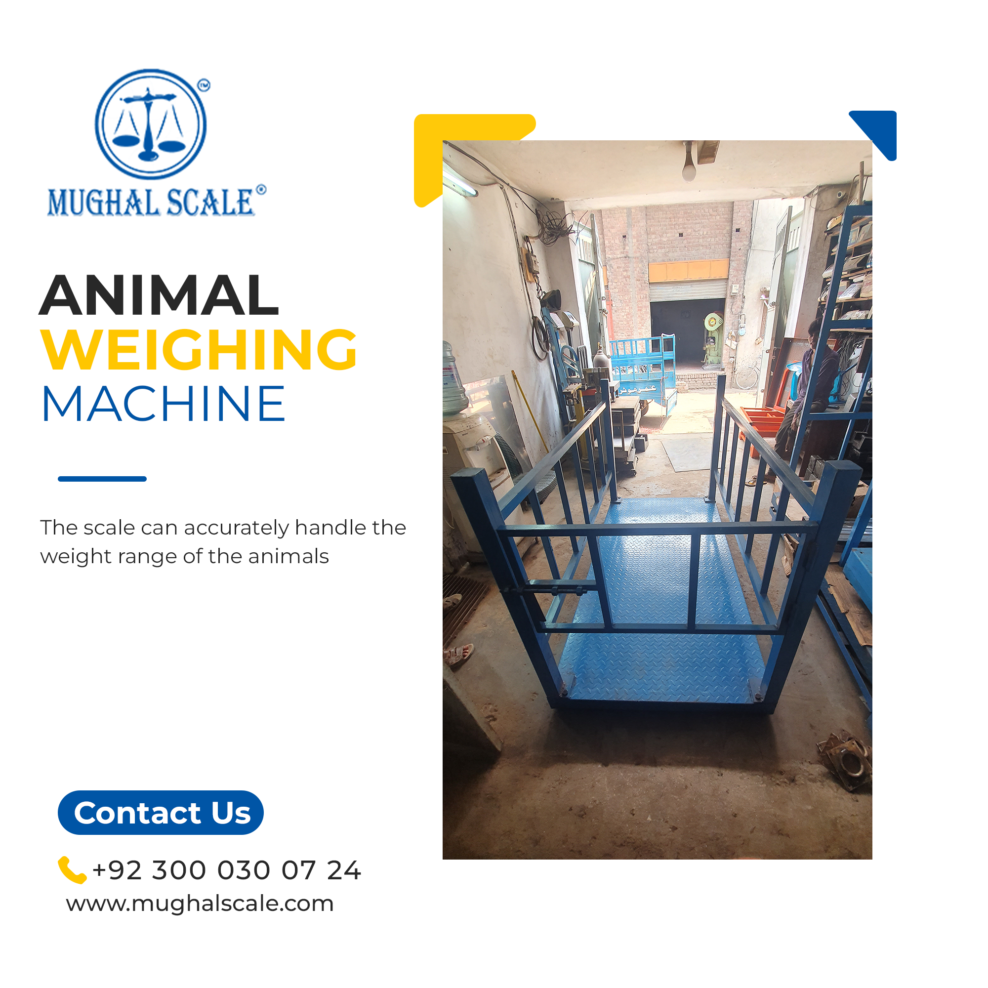 Animal Weighing Machine Price in Pakistan