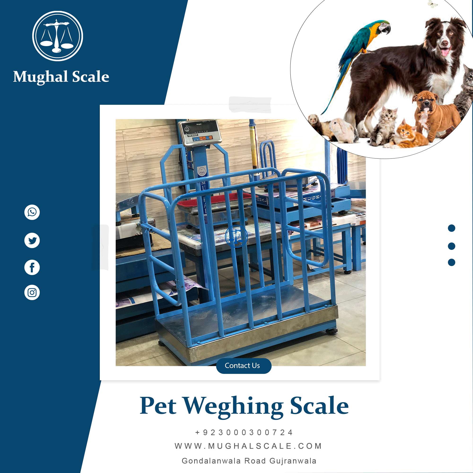 Weighing Scale For Pets Price In Pakistan