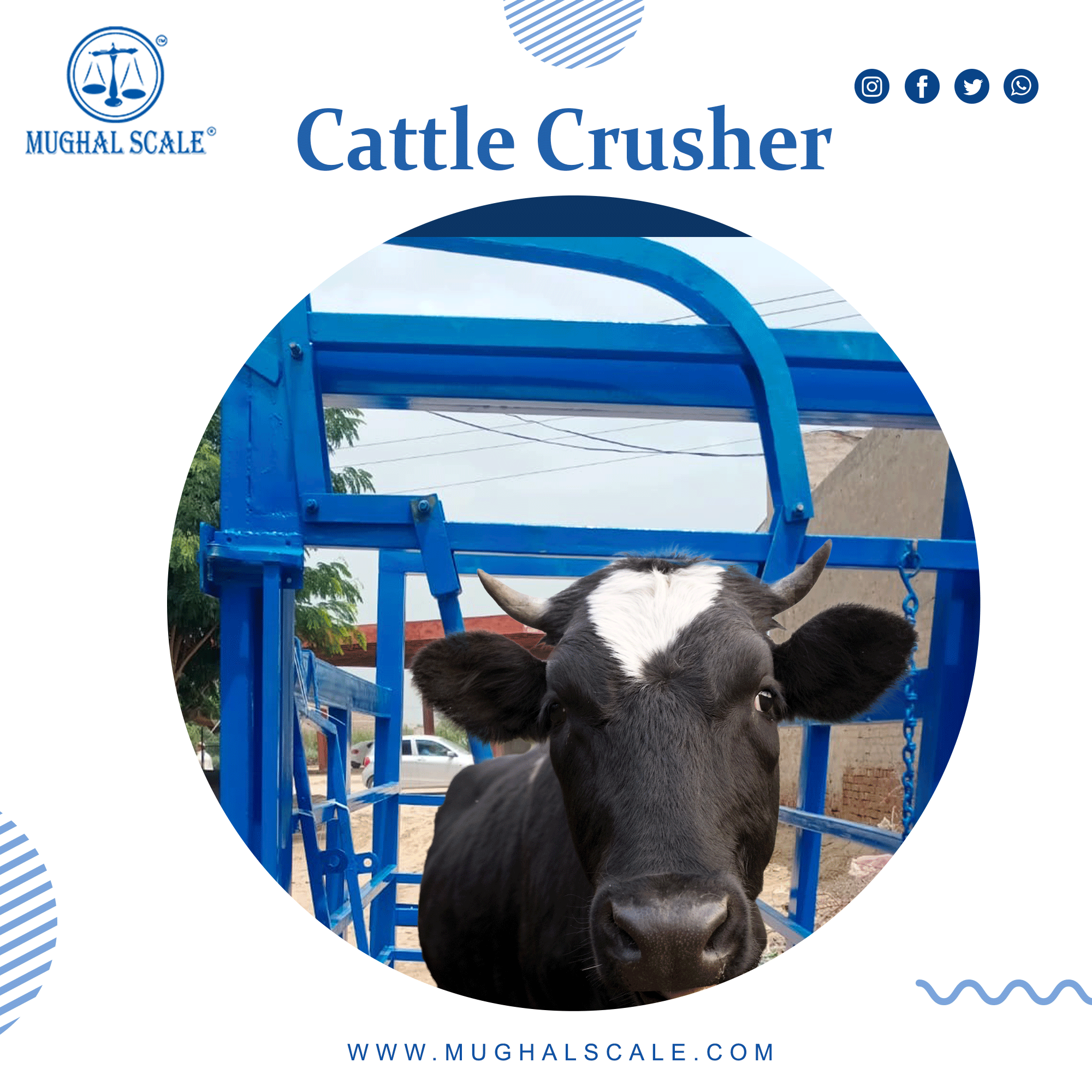 cow crusher