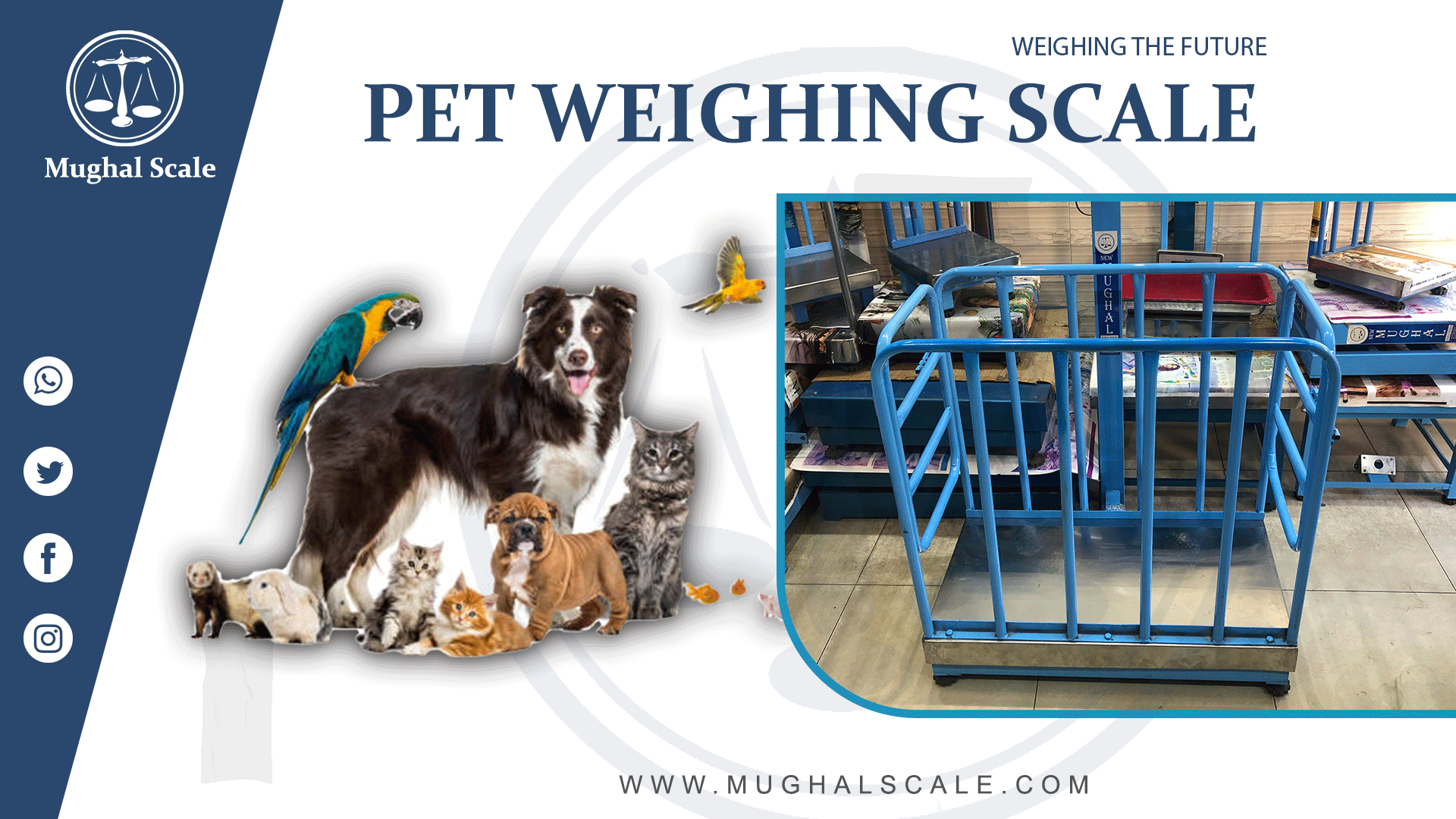 Weighing Scale For Pets Price In Pakistan