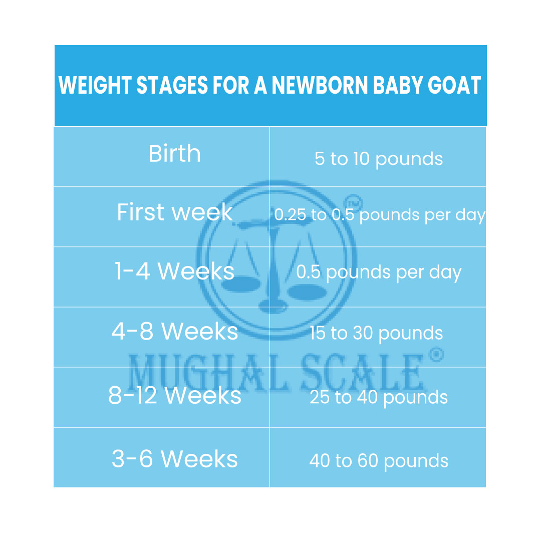 baby goat measurement weight chart