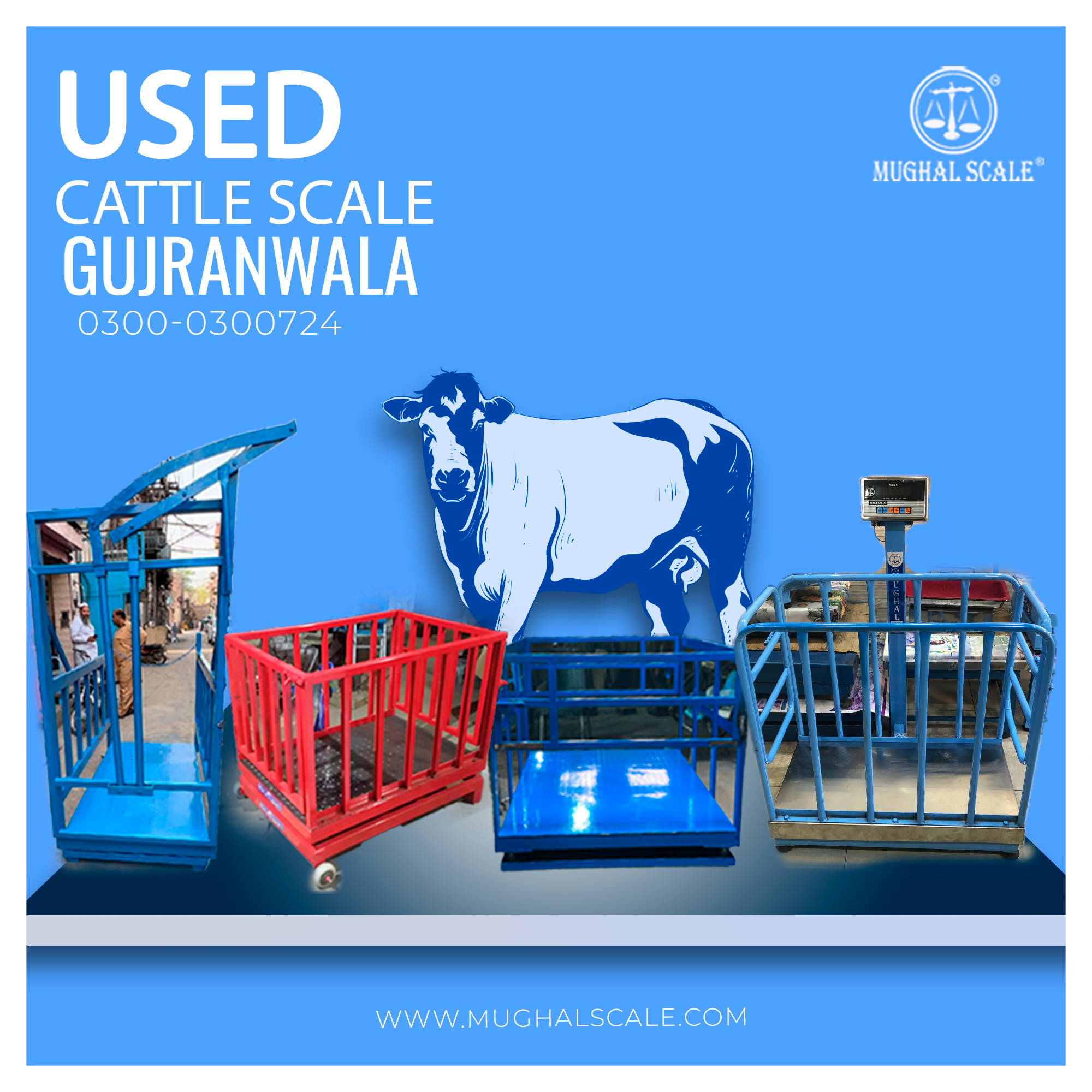 Cattle Scale Platform in Gujranwala