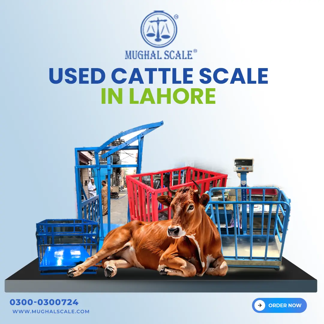 USED-CATTLE-SCALE-IN-LAHORE